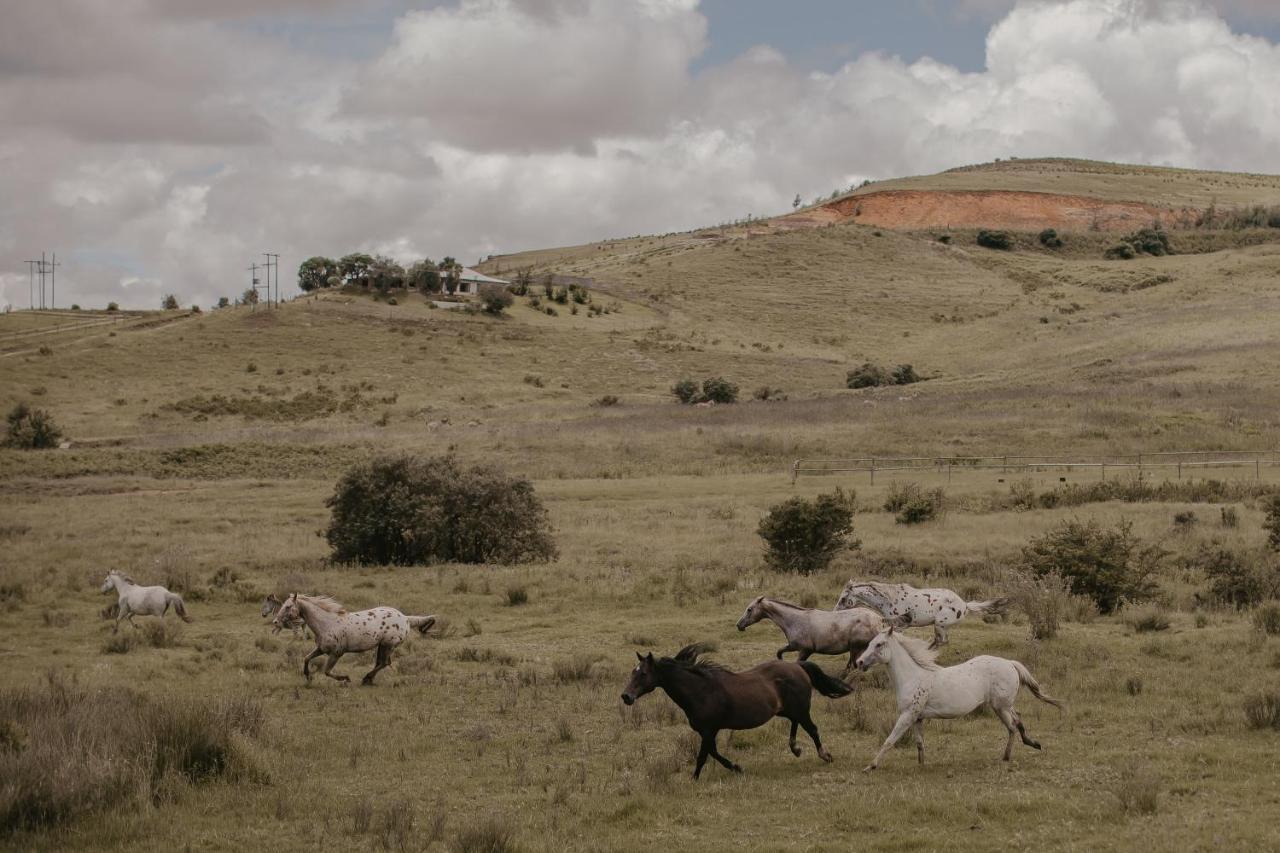 Qambathi Mountain Lodge Rev Estates Eksteriør bilde